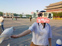 -天津妈祖文化园