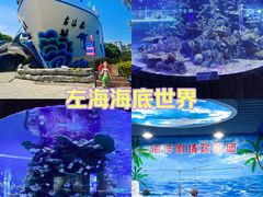 -左海海底世界