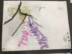 -学知乐教育·幼小衔接·小学科辅导(浦东外高桥森兰中心)
