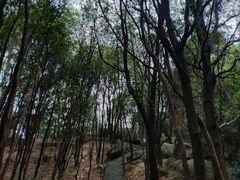 -火炉山森林公园