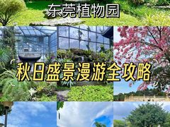-东莞植物园
