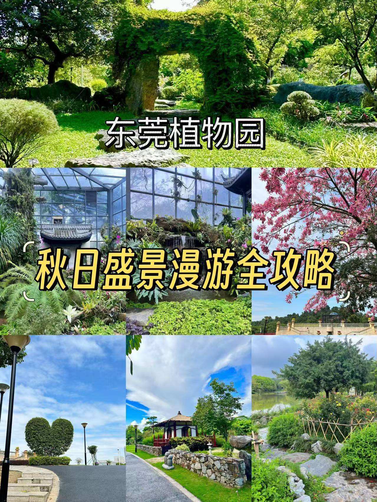 东莞植物园简介图片