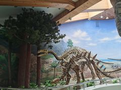 -延庆地质公园博物馆