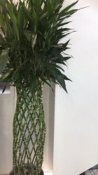 -悟空祛痘·诺奖技术专业店