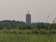 -永定河休闲森林公园