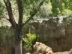 -北京野生动物园