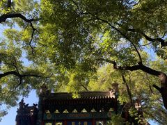 -北京国子监胡同