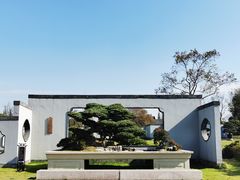 -扬州大运河文化旅游度假区·盆景园