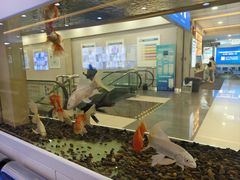 -武汉大学附属爱尔眼科医院(湖北总院)