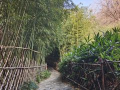 -竹子庵公园