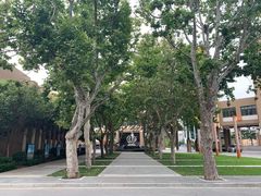 -山东省青岛第二中学(江西路分校)