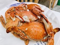 -北戴河庆山饭店·海鲜砂锅粥(北戴河黑石路店)