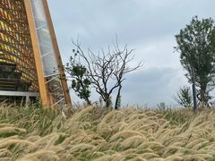 -中国天府农业博览园