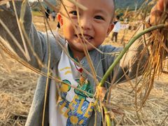 -艾米稻香小镇