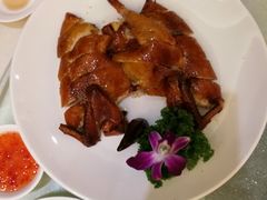 -龙悦湾酒家·八阵鱼生·渔人码头店