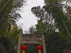 -紫金山山顶公园