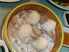 -宝燕壹号(徐汇店)