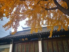 门面-同得兴 Since·1995 传统苏式面馆(十全街店)