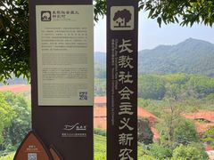-雁南飞茶田景区