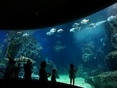 -暹罗海洋世界