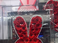 -ROSEONLY诺誓(国际广场购物中心店)
