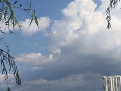-兴盛大桥