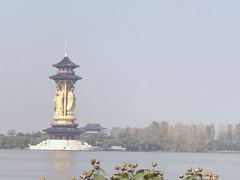 -溱湖国家湿地公园