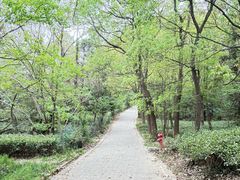 -虞山风景区