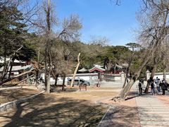 -阳台山自然风景区