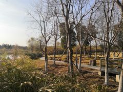 -长广溪湿地公园
