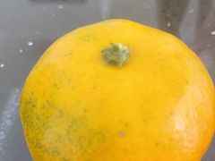 -前小桔亲子创意农场·草莓采摘·露营烧烤