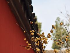 -无锡梅园公园