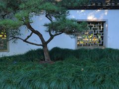 -杭州植物园