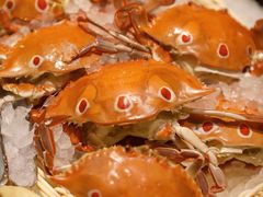 蟹肉-大中华希尔顿酒店-念自助餐·嗨啤·小龙虾