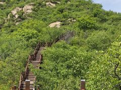 -大岭沟猕猴桃谷风景区