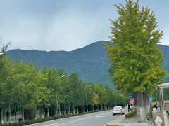 -北京市车辆管理所京海分所