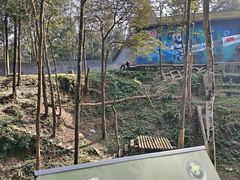 -中国大熊猫保护研究中心雅安碧峰峡基地