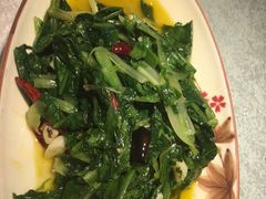 -新概念来凤鱼(璧山店)