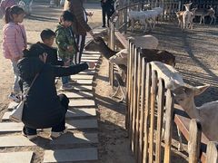 -北京麋鹿生态实验中心