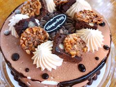 熔岩星球蛋糕冰淇淋-哈根达斯(绍兴银泰店)