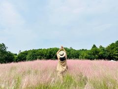 -同里国家湿地公园