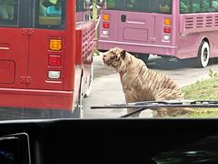 -北京野生动物园