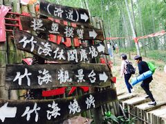 -宁波浙东大竹海景区