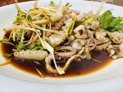 凉拌八爪鱼-望海潮海鲜店 特色家常菜(在海一方店)