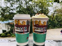 -茶颜悦色(岳麓山顶店)