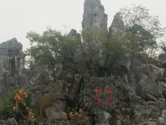 -千岛湖石林