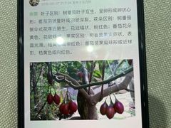 -翠府(翠湖北路店)