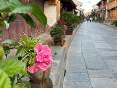 -巍山古城