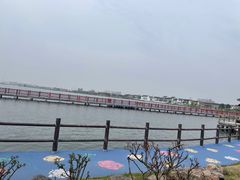 -鹅湖玫瑰文化园