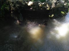 -法雨寺餐厅